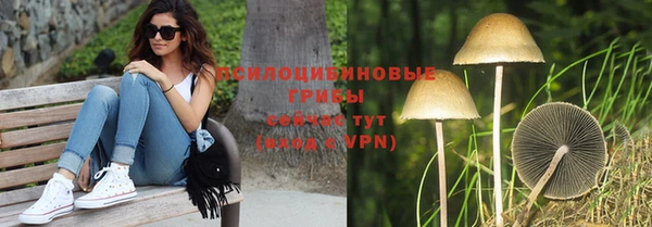 таблы Аркадак