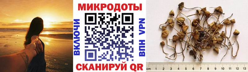 цена   дарк нет какой сайт  Псилоцибиновые грибы прущие грибы  Октябрьск  блэк спрут ТОР 